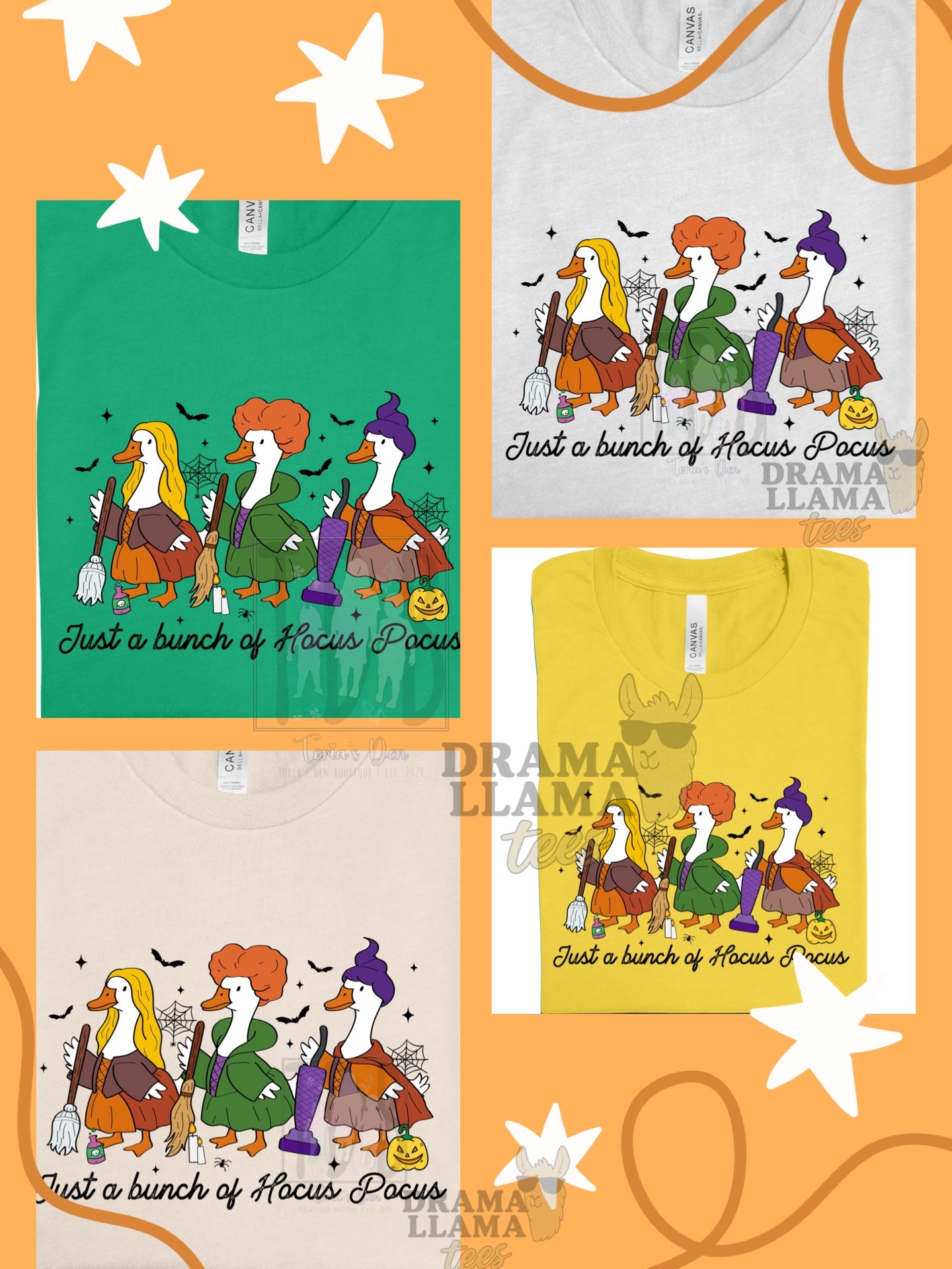 Hokey Pokey Geese ~DLTPO