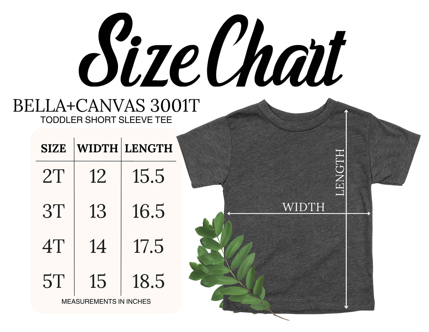 Pennant NO BOW Spirit Bella Canvas Tees | Put team name/info in note box!!