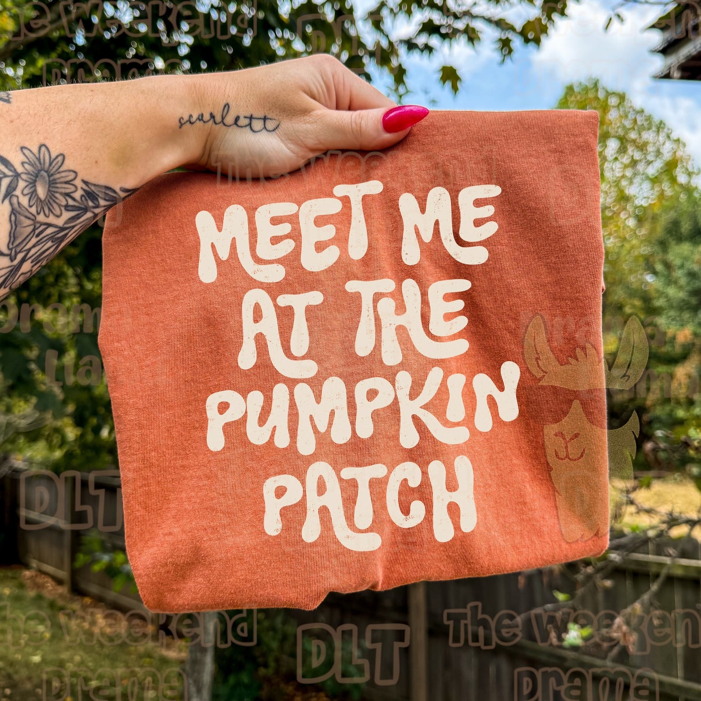 Weekend Drama: $18+ or 2 for $35 Comfort Colors Fall Tees