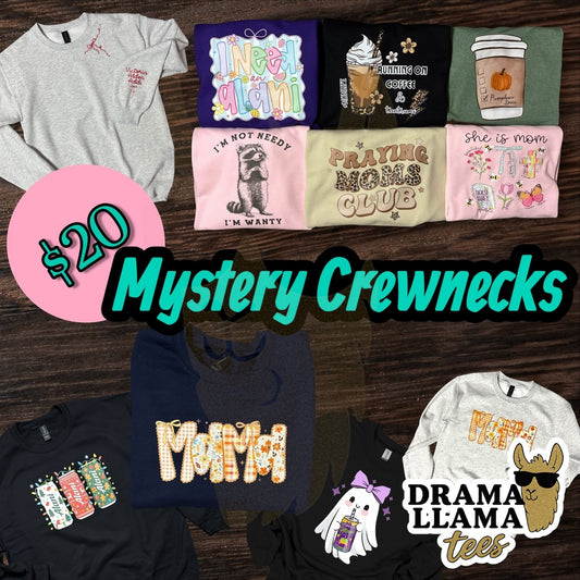 Mystery Adult Sweatshirts Pre-Order