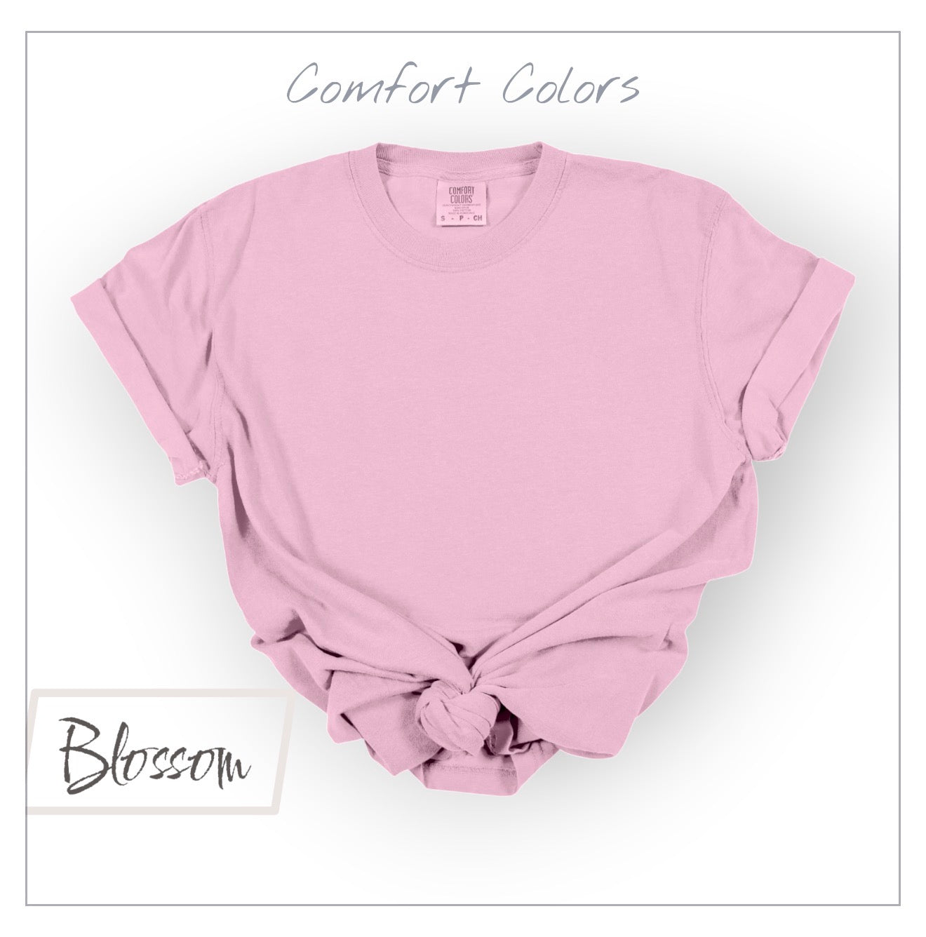 I'm Just Here For Recess COMFORT COLORS Tees | Youth Only