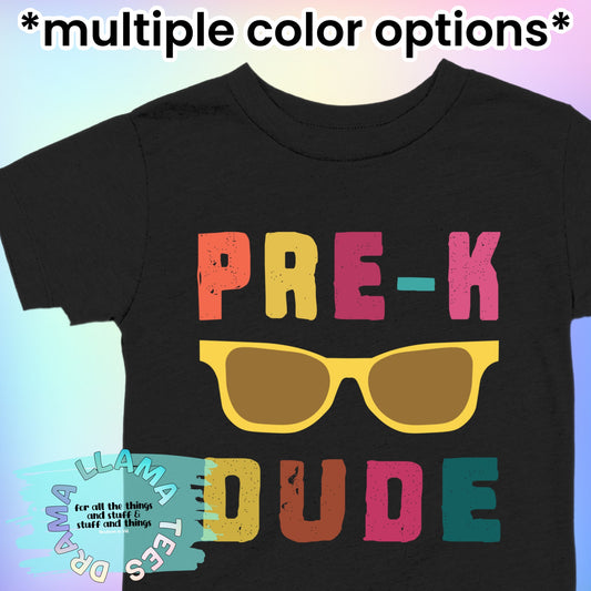 Back to School Pre-K Dude Tees *multiple color options*